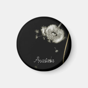 Cool, Phantastisch, Lüster Magnet