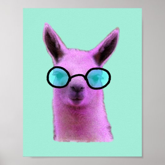 Cool Pink Llama Poster (Vorne)