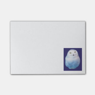 Cool Post-it Snowy Owl Klebezettel