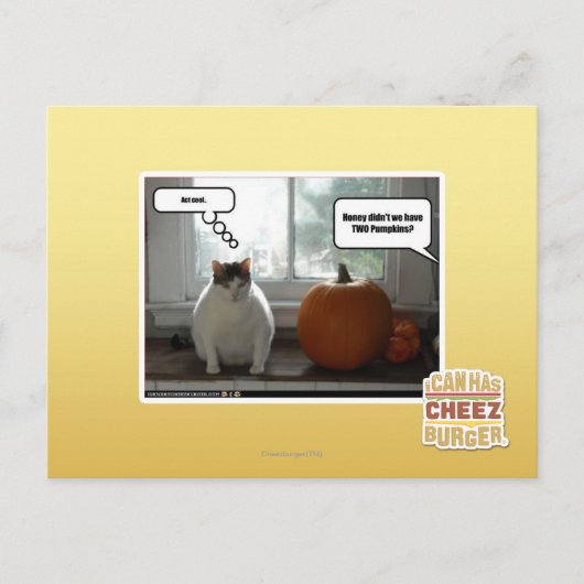 Cool Postkarte (Vorderseite)