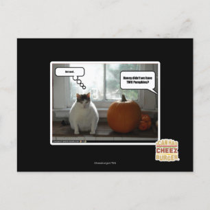 Cool Postkarte