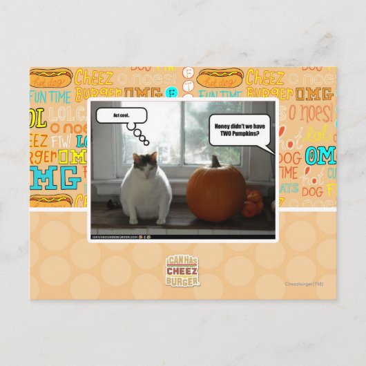 Cool Postkarte (Vorderseite)