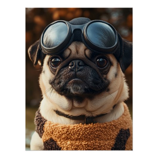 Cool Pug Dog with Aviator Goggles & Cozy Sweater Poster (Vorderseite)