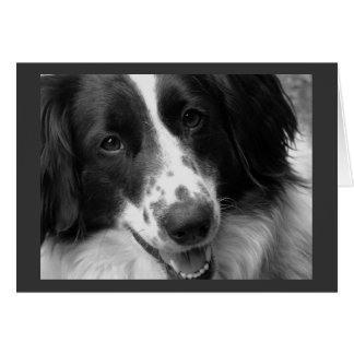 Cool, ruhig und entspannt