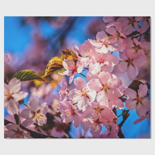 Cool Sakura Garland Geschenkpapier (Flach)