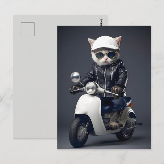 Cool Scooter Kitty gratuliert Postkarte (Vorne/Hinten)