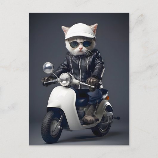 Cool Scooter Kitty gratuliert Postkarte (Vorderseite)