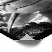 Cool Shark Animal Selfie  Poster (Ecke)