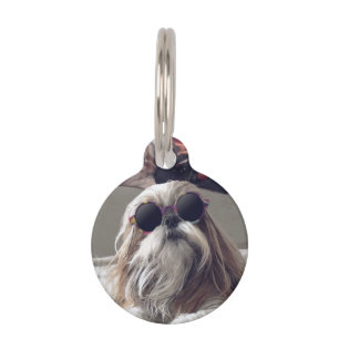 Cool Shih Tzu lang haar Vintag Sonnenbrille Foto Haustiermarke