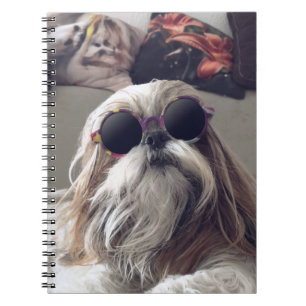 Cool Shih Tzu lang haar Vintag Sonnenbrille Foto Notizblock