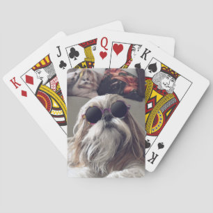 Cool Shih Tzu lang haar Vintag Sonnenbrille Foto Spielkarten