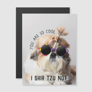Cool Shih Tzu Nicht lustig niedliche Sonnenbrille  Magnetkarte