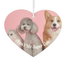 Cool sind wir nicht sehr Niedlich? Pet Foto Air Fr