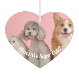 Cool sind wir nicht sehr Niedlich? Pet Foto Air Fr Autolufterfrischer