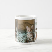 Cool Sleepy Kitty Cat Lovers' Foto Collage Tasse (Mittel)