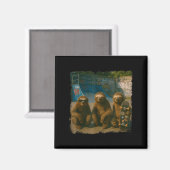 Cool Sloths Skatepark Vintage Photo Magnet (Vorderseite/Rückseite)