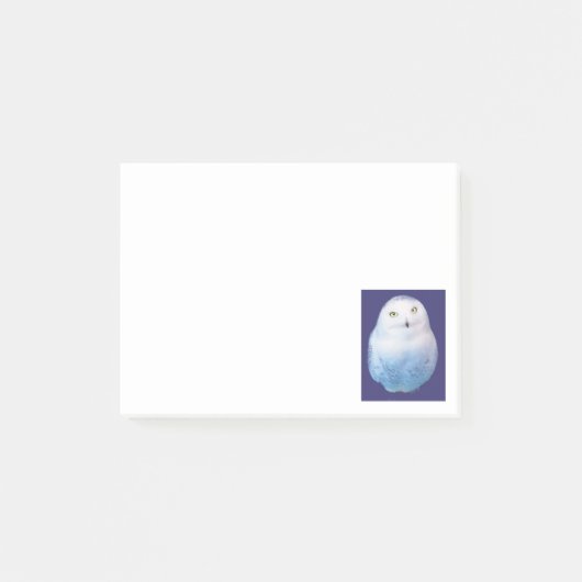 Cool Snowy Owl Post-it Klebezettel (Vorderseite)
