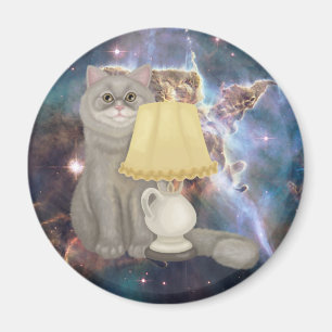 Cool Story Cat Magnet