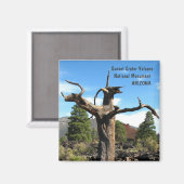 Cool Sunset Crater Volcano Magnet! Magnet (Vorderseite/Rückseite)