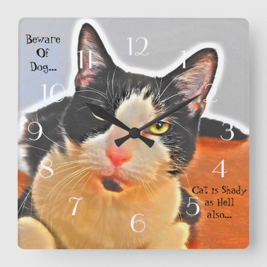 Cool Tuxedo Cat Quadratische Wanduhr (Vorderseite)