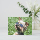 Cool Yorkshire Terrier Postcard Postkarte (Stehend Vorderseite)