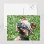 Cool Yorkshire Terrier Postcard Postkarte (Vorne/Hinten)