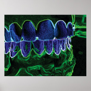 Cool Zähne Modell Zahnarzt Orthodontist Poster