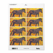 Cool Zebra (Vorne)