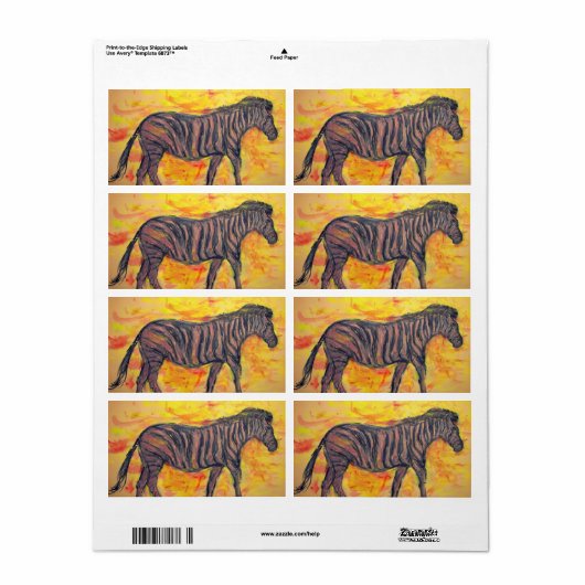 Cool Zebra (Vorne)