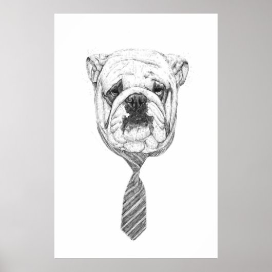 Cooldog Poster (Vorne)