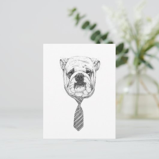 Cooldog Postkarte (Stehend Vorderseite)