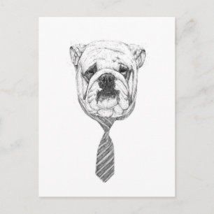 Cooldog Postkarte