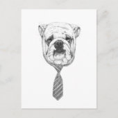 Cooldog Postkarte (Vorderseite)