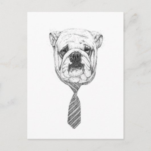 Cooldog Postkarte (Vorderseite)