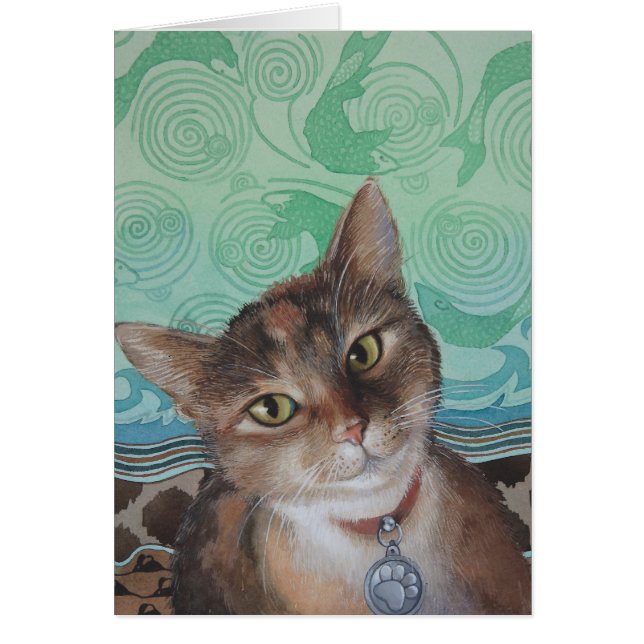 Coole amerikanische kurze Haar-Katze durch (Vorne)