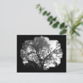 Coole Baumfotografie. Postkarte (Stehend Vorderseite)