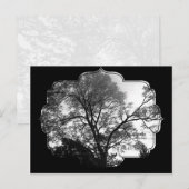 Coole Baumfotografie. Postkarte (Vorne/Hinten)