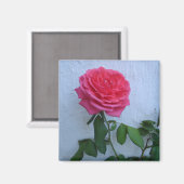 Coole Blüte Magnet (Vorderseite/Rückseite)