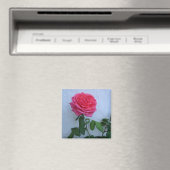 Coole Blüte Magnet (In Situ (Geschirrspüler))