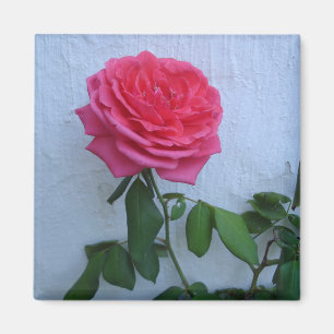 Coole Blüte Magnet