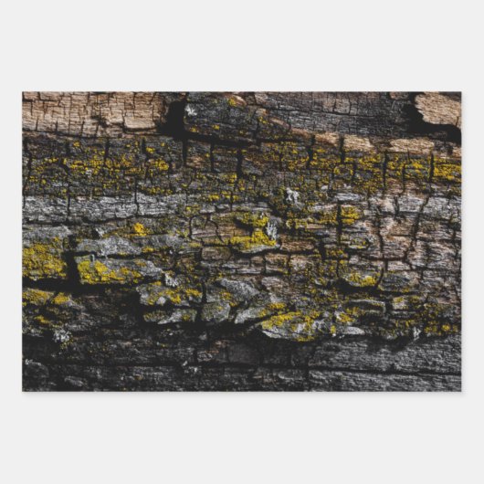 Coole Braune Braunholzrinde mit Gelbflecht Geschenkpapier Set (Vorderseite 3)