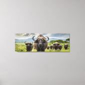 Coole Buffalo-Leinwanddruck! Leinwanddruck (Vorderseite)