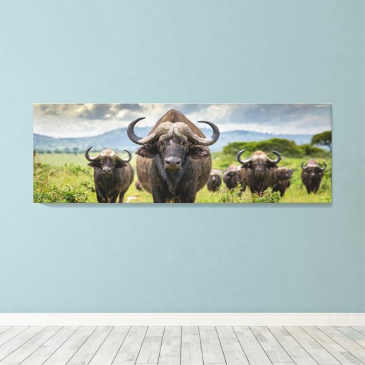 Coole Buffalo-Leinwanddruck! Leinwanddruck (Insitu (Holzboden))