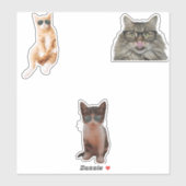Coole Cat Memes Aufkleber (Blatt)