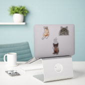 Coole Cat Memes Aufkleber (Laptop auf Schreibtisch)