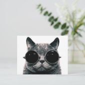 COOLE CAT. POSTKARTE (Stehend Vorderseite)