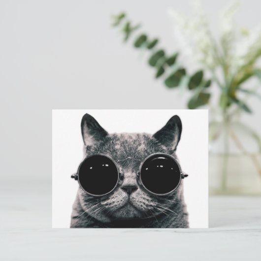 COOLE CAT. POSTKARTE (Stehend Vorderseite)