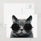 COOLE CAT. POSTKARTE (Vorne/Hinten)