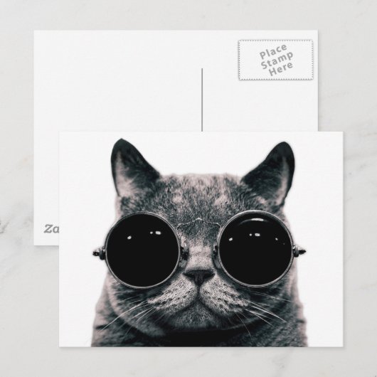 COOLE CAT. POSTKARTE (Vorne/Hinten)
