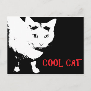COOLE CAT-POSTKARTE POSTKARTE